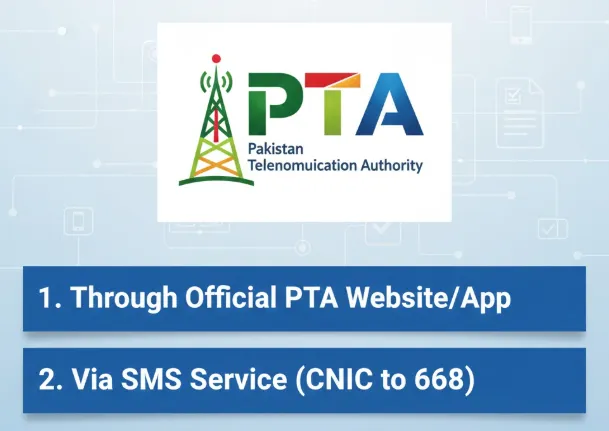 Official Methods to Check SIM Information